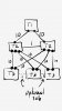 3-tiered-network.jpg